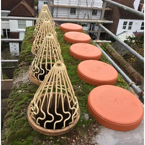 Bird Guards and Disused Chimney Caps