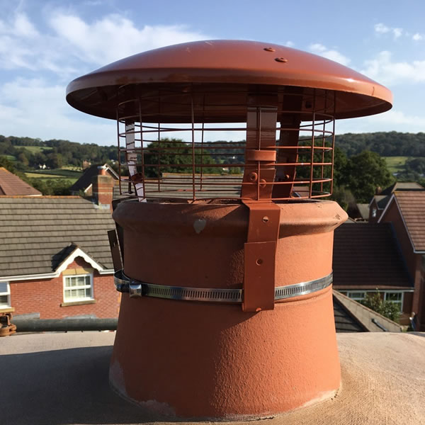 Chimney Cowl Products Standard Bird Guard